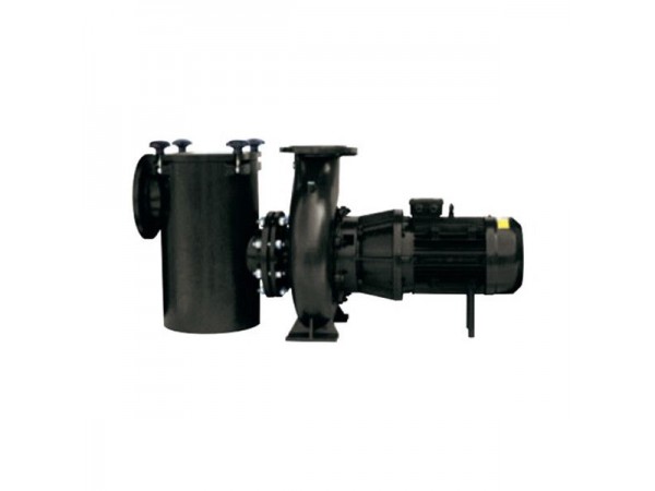 Насос Hayward HCP5223E24 (380В, 13 м3/ч, 2HP)