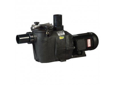 Насос Hayward RS II RS3025EV3 (380В, 27.5 м3/ч, 2.5HP)