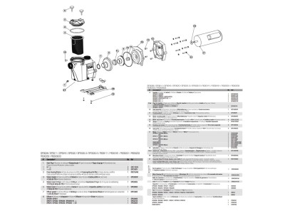 Насос Hayward RS II RS3020EV1 (220В, 23 м3/ч, 2HP)