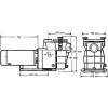 Насос Hayward PL Plus 81033 (220В, 15.7 м3/ч, 1.5HP) (Арт: 2-15437)