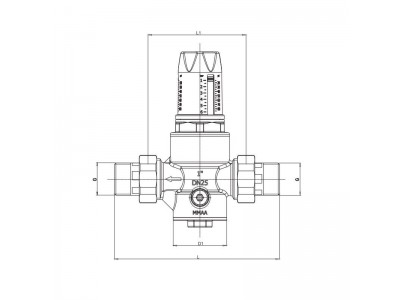 Редуктор давления Roho R1202-050 - 1/2" НН, PN25 (1-6 бар) мембранный (RO0145)