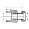 Муфта з накидною гайкою 20x1/2F PPR KOER K0141.PRO (KP0178)