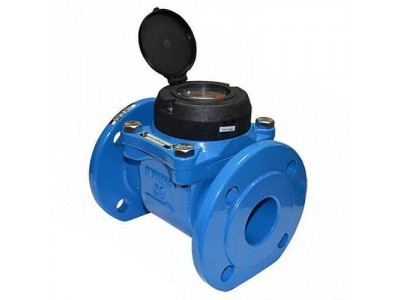 Счетчик воды ирригационный Powogaz WI-65-02 Ду 65