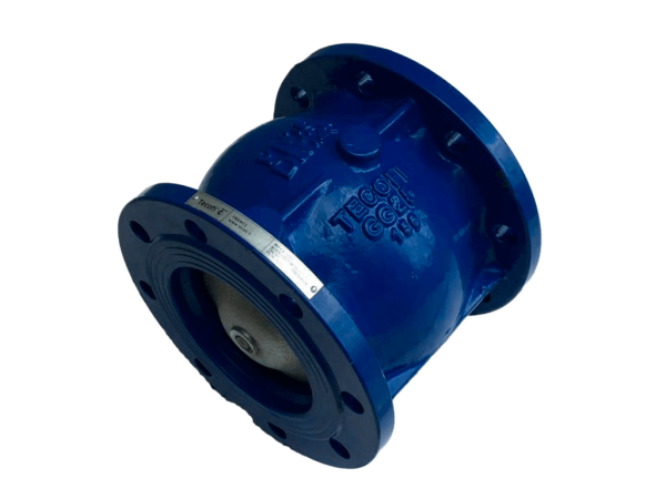 Обратный клапан чугунный фланцевый Ду 150 Tecofi CA3241 РУ 16 (Арт: 7-21344)